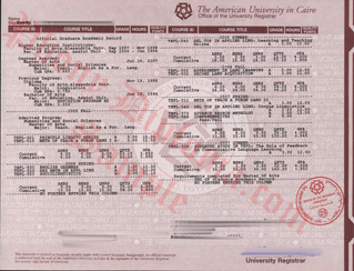 American University In Cairo Egypt Fake Transcript Sample From Phonydiploma